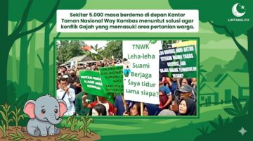 Konflik Gajah vs Manusia yang Berujung Demo Warga Lamtim ke TNWK